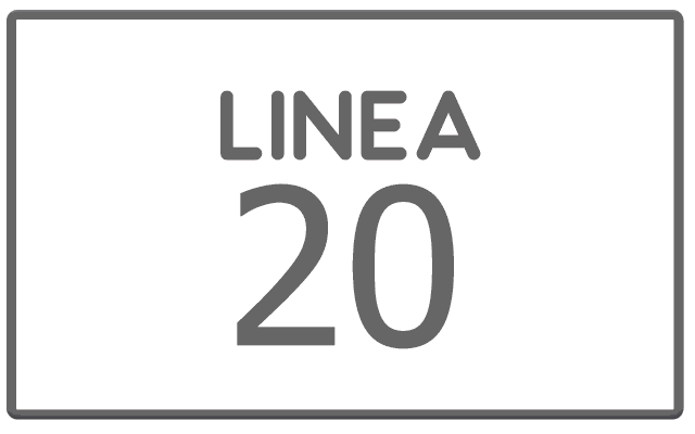LINEA 13